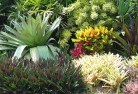 Southampton NSWplanting-garden-and-landscape-design-24.jpg; ?>