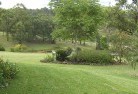 Southampton NSWplanting-garden-and-landscape-design-51.jpg; ?>